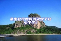 殺蟲公司如何消滅蚊子幼蟲孑孓？