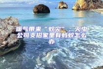 暖氣帶來“蟻災”，滅蟲公司支招家里有螞蟻怎么辦