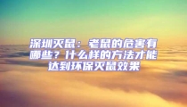 深圳滅鼠:老鼠的危害有哪些?什么樣的方法才能達到環保滅鼠效果