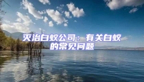滅治白蟻公司:有關白蟻的常見問題