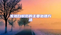 發現白蟻后的主要處理方法