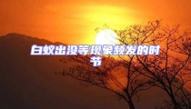白蟻出沒等現象頻發的時節