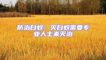 防治白蟻:滅白蟻需要專業(yè)人士來滅治