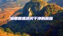 蟑螂很難消滅干凈的原因