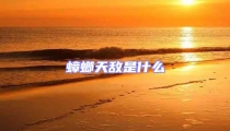 蟑螂天敵是什么
