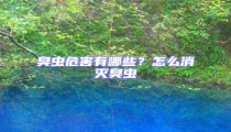 臭蟲危害有哪些?怎么消滅臭蟲
