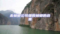 殺蟑螂公司細數蟑螂的危害