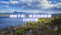 地板下陷、電源跳閘原是白蟻搗鬼
