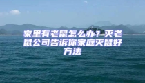 家里有老鼠怎么辦?滅老鼠公司告訴你家庭滅鼠好方法