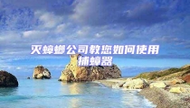 滅蟑螂公司教您如何使用捕蟑器