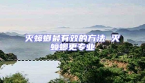滅蟑螂最有效的方法 滅蟑螂更專業