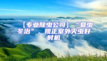 【專業除蟲公司】“夏蟲冬治”,現正室外滅蟲好時機