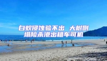 白蟻侵蝕驗不出 大樹倒塌險殺港出租車司機