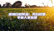 深圳白蟻防治:滅白蟻要專業人來處理