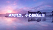 天氣轉熱,小心白蟻出沒
