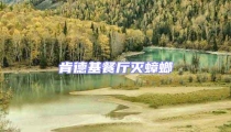 肯德基餐廳滅蟑螂