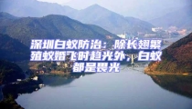 深圳白蟻防治:除長翅繁殖蟻婚飛時趨光外,白蟻都是畏光