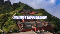 常用的幾種滅鼠藥劑