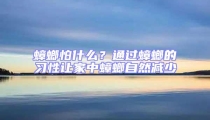 蟑螂怕什么?通過蟑螂的習性讓家中蟑螂自然減少