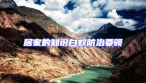 居家的知識白蟻防治要領