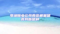 羅湖除蟲公司教您根據鼠糞判斷鼠種