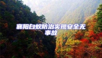 襄陽白蟻防治實現安全無事故