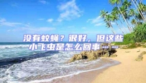 沒有蚊蠅？很好，但這些小飛蟲是怎么回事……