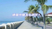 德國小蠊怎么消滅?