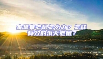 家里有老鼠怎么辦?怎樣有效的消滅老鼠?