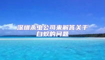 深圳殺蟲公司來解答關于白蟻的問題