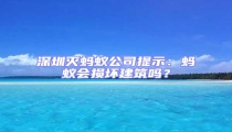 深圳滅螞蟻公司提示:螞蟻會損壞建筑嗎?