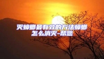 滅蟑螂最有效的方法蟑螂怎么消滅-幫您