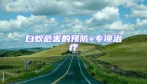 白蟻危害的預防+專項治療