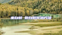 家白蟻 散白蟻滅治方法