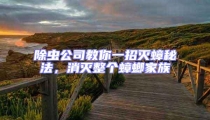 除蟲公司教你一招滅蟑秘法,消滅整個蟑螂家族