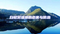 白蟻對堤壩的危害與防治