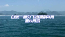 白蟻一般分飛出巢的4月至6月份