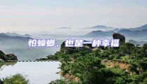 怕蟑螂,也是一種幸福