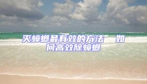 滅蟑螂最有效的方法  如何高效除蟑螂