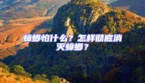 蟑螂怕什么?怎樣徹底消滅蟑螂?