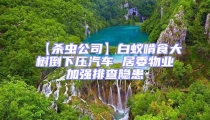 【殺蟲公司】白蟻啃食大樹倒下壓汽車 居委物業加強排查隱患