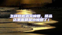 怎樣徹底消滅蟑螂,甜品店里面都是小蟑螂了!