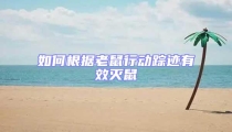 如何根據老鼠行動蹤跡有效滅鼠