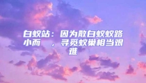 白蟻站:因為散白蟻蟻路小而骫骳,尋覓蟻巢相當艱難