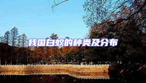 我國白蟻的種類及分布
