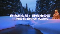 臭蟲怎么殺?除臭蟲公司三招教你臭蟲怎么消滅