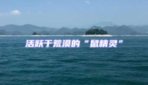 活躍于荒漠的“鼠精靈”