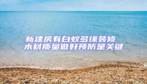 新建房有白蟻多緣裝修 木材質(zhì)量做好預(yù)防是關(guān)鍵