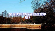 家庭滅蟑螂有哪些注意事項?
