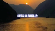 鋼筋夾捕鼠法